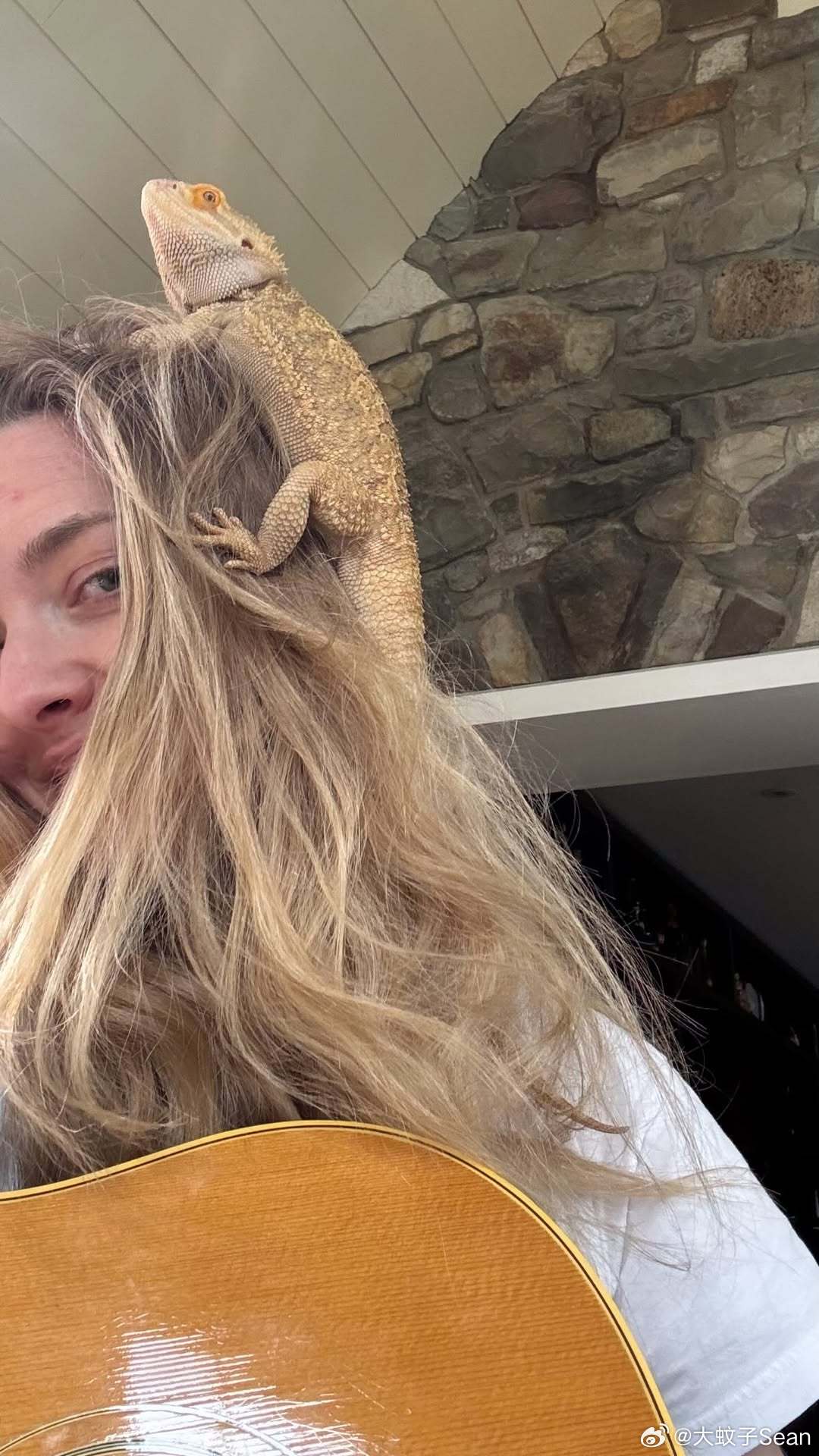 Amanda Seyfried阿曼达塞弗莱德晒新照，演奏时自家蜥蜴直接爬脸，人宠