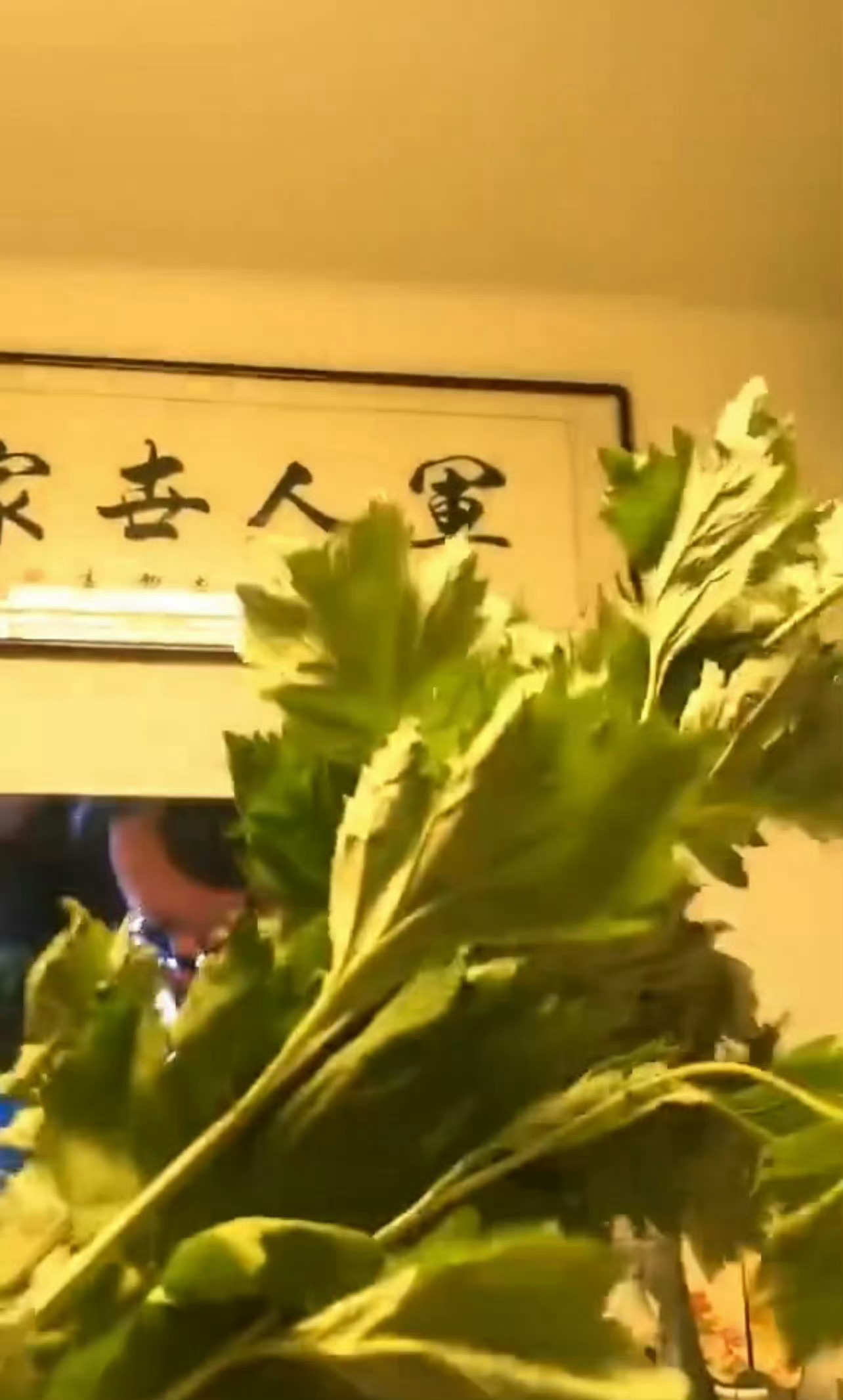 端午节只有我们山东插艾草吗？