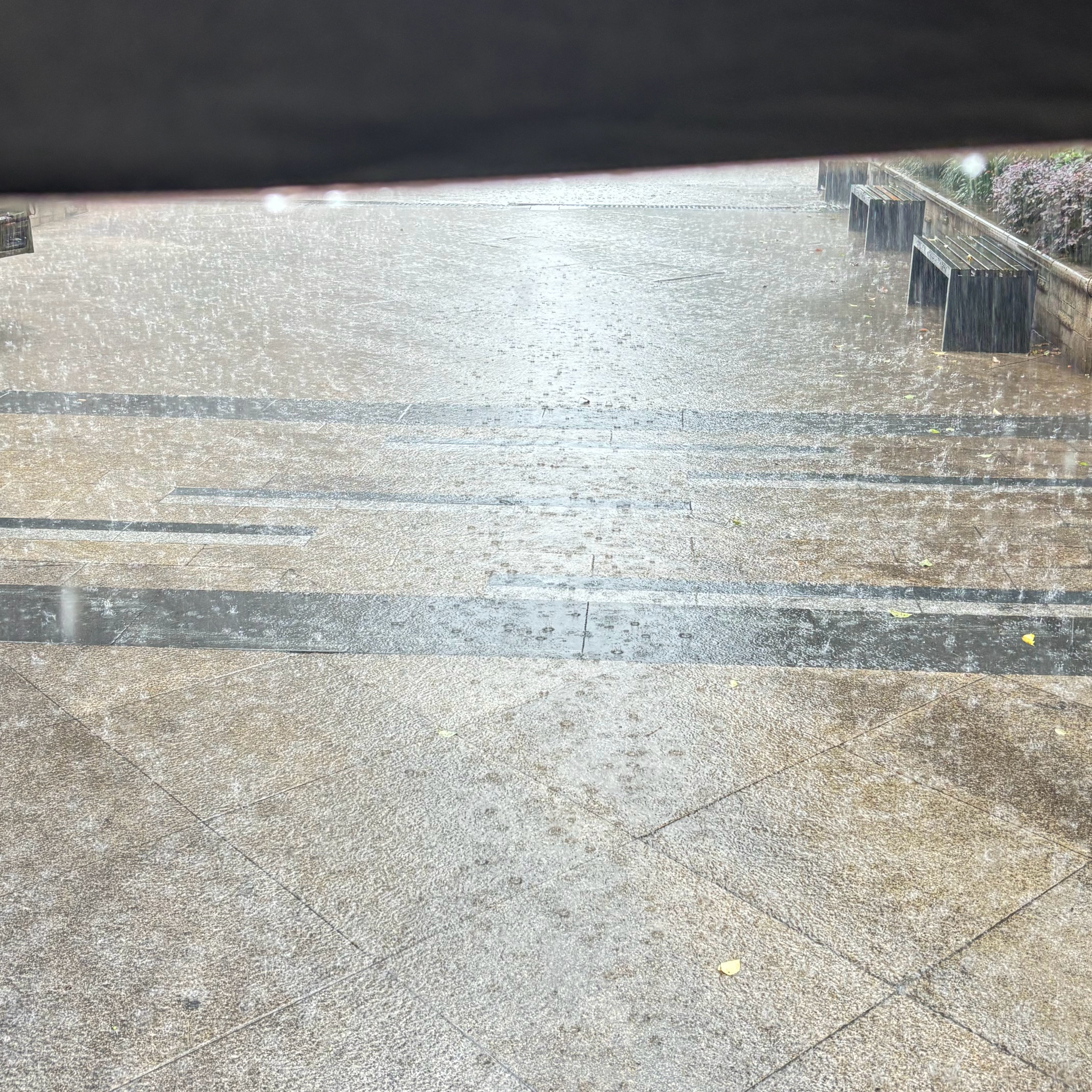 阿也好大的雨耶，衣服裤儿打湿完的 