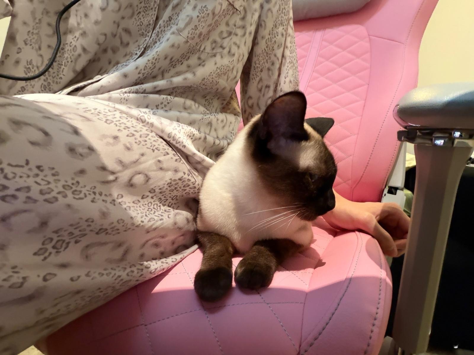 性压抑