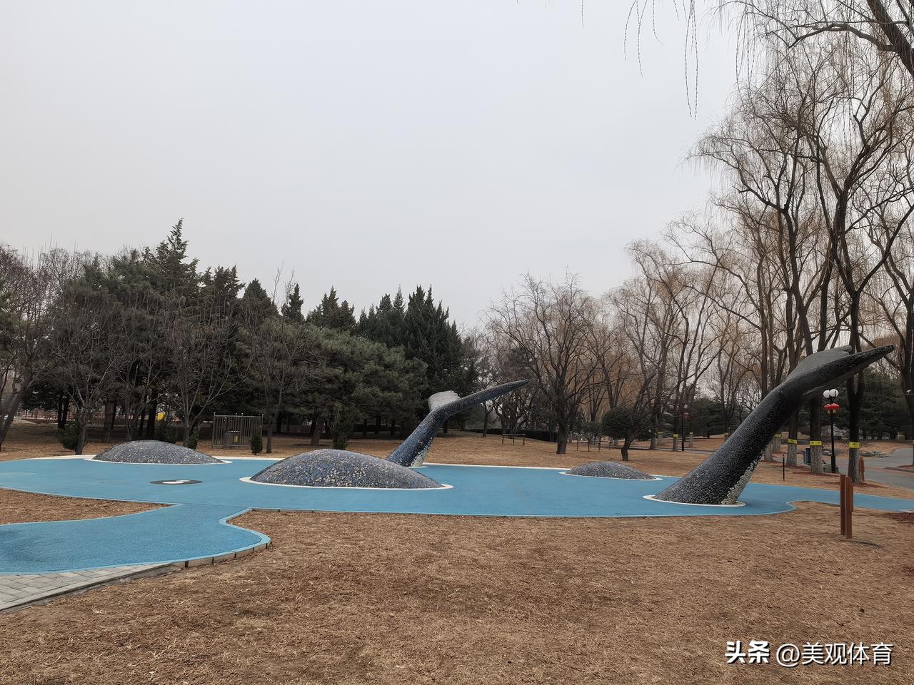 海豚🐬之👁眼由你来扮演，只是天公不作美，没法营造“海”天一色的景色。