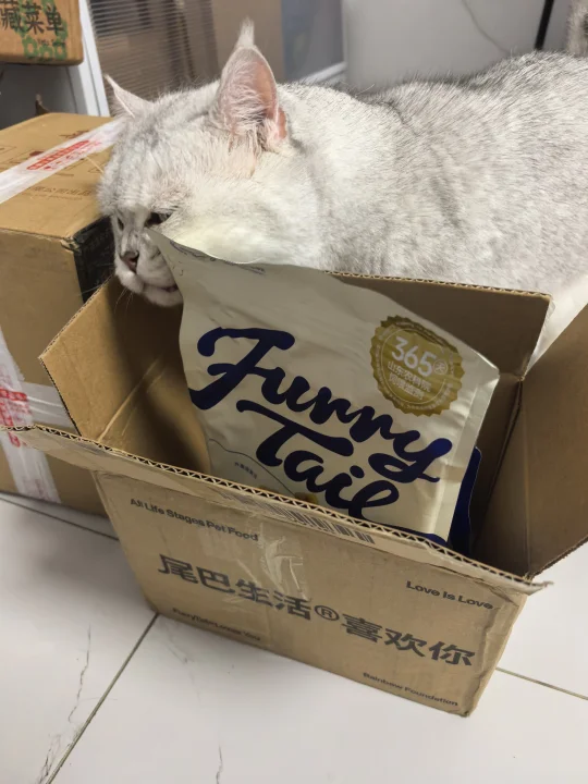 🔥救命！这猫粮是有什么魔力吗？舔碗了！
