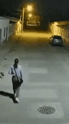 都说心善，心美的在危险降临时，就会得到警示
女子一个走夜路，狗子就成了她的保护神