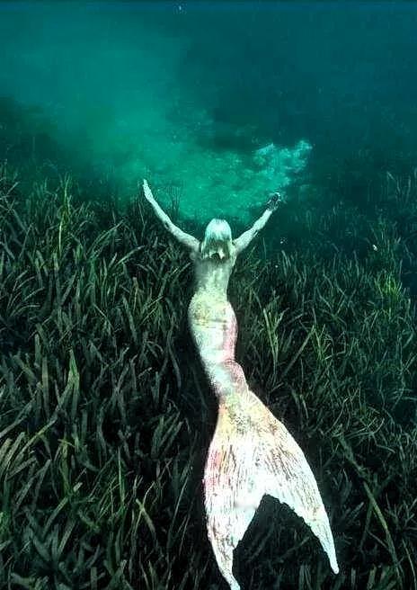 近日，泰国攀牙府海岸惊现一具被斩首的“美人鱼”尸体，引发全球关注，这一事件不仅让