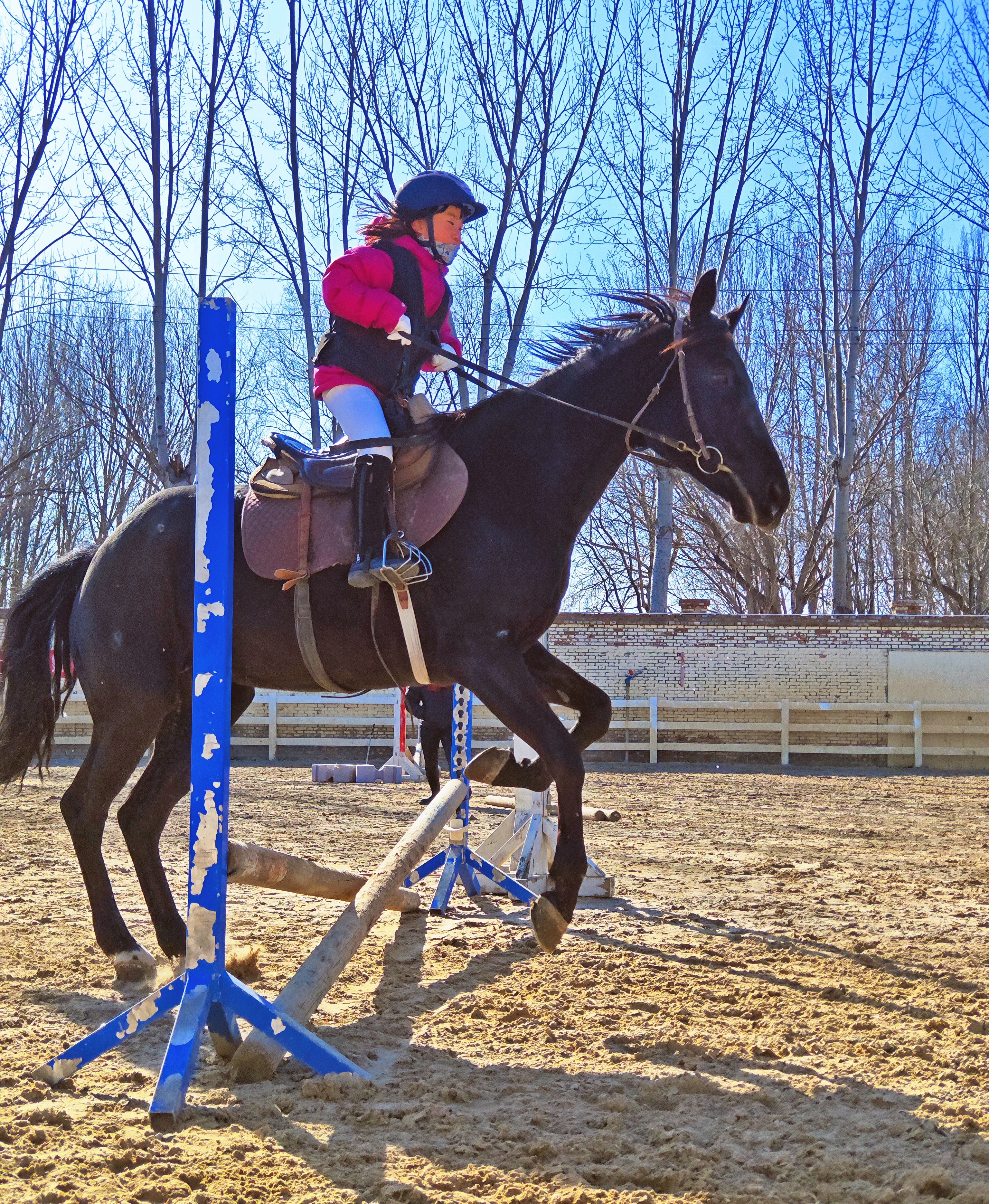 明天开工喽，我闺女骑马祝大家马到功成开泰运 跃然霄汉展宏图 