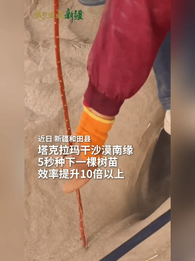 “沙漠种树跟按快进键似的？5秒一棵，北斗导航精准‘带路’，这操作看得人直竖大拇指