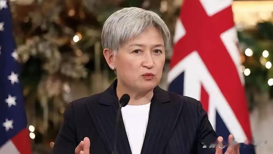 澳大利亚外长黄英贤发表声明

7 月 21 日，针对中菲在仁爱礁发生冲突后，澳大