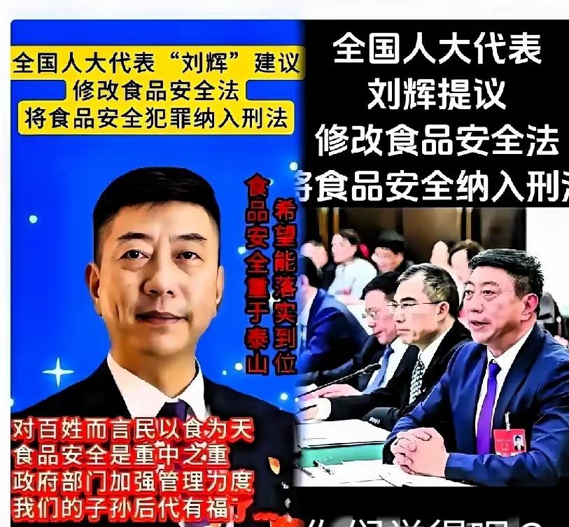 人大代表刘辉的食品安全提案，一针见血地指出了问题的核心。
 
他认为，虽然现行法