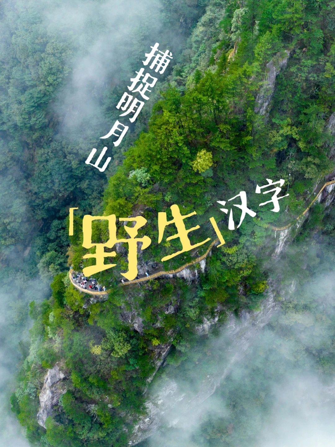 什么‼在明月山抓到了“野生汉字”‼️