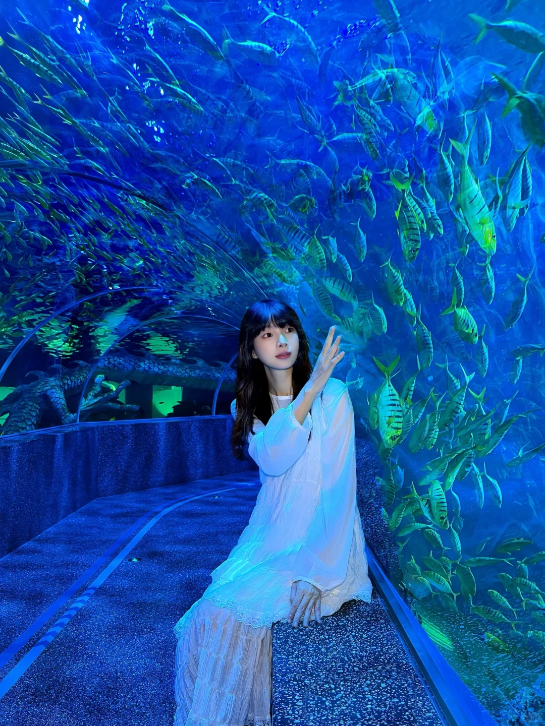 跟着沈月逛厦门～同款水族馆爱了爱了！