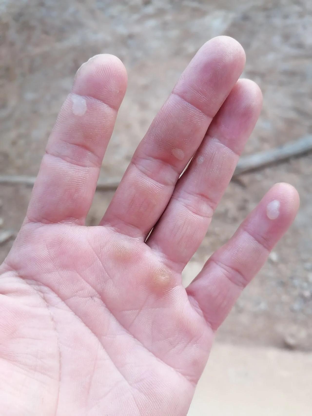 大家好，我是水电工星仔，下班，花了四个小时写篇不痛不痒的文章，发布在头条，希望能