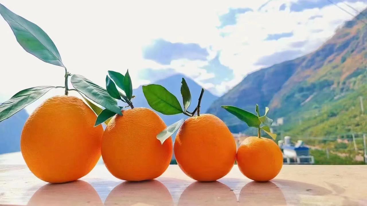 手气实在太坏了，注定又是一个烦人的春节。
腊月三十：取现5000，也是这个春节的