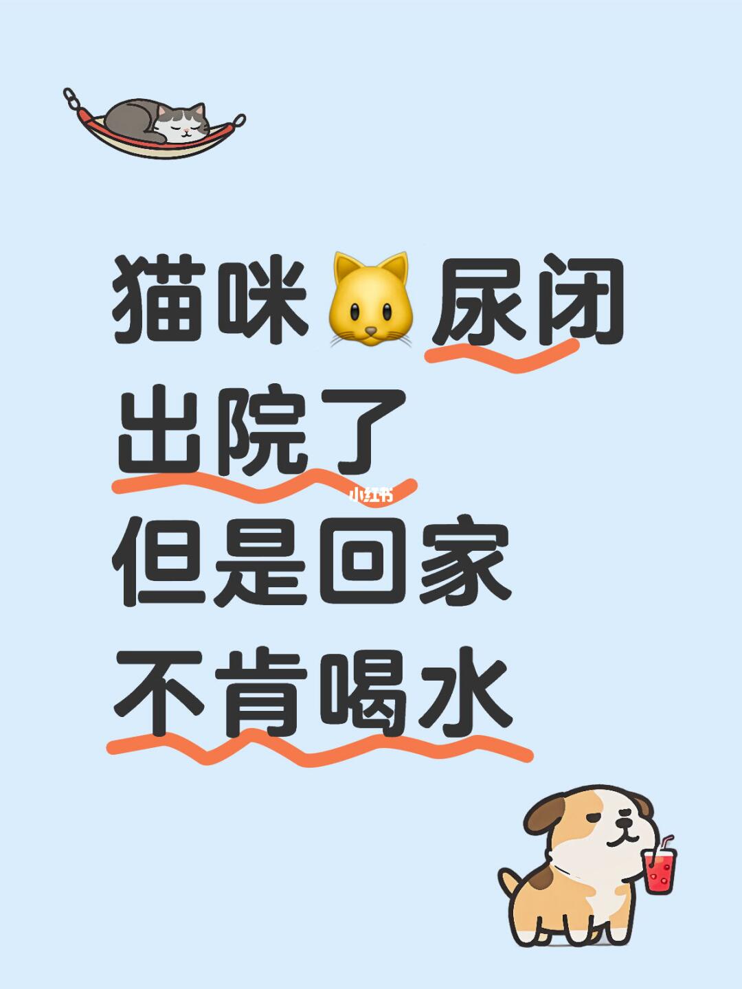 猫咪🐱尿闭出院了 但是回家不肯喝水 ……
