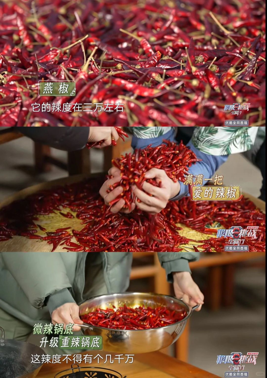 徐志胜“水深火热”体验🈶️🤣