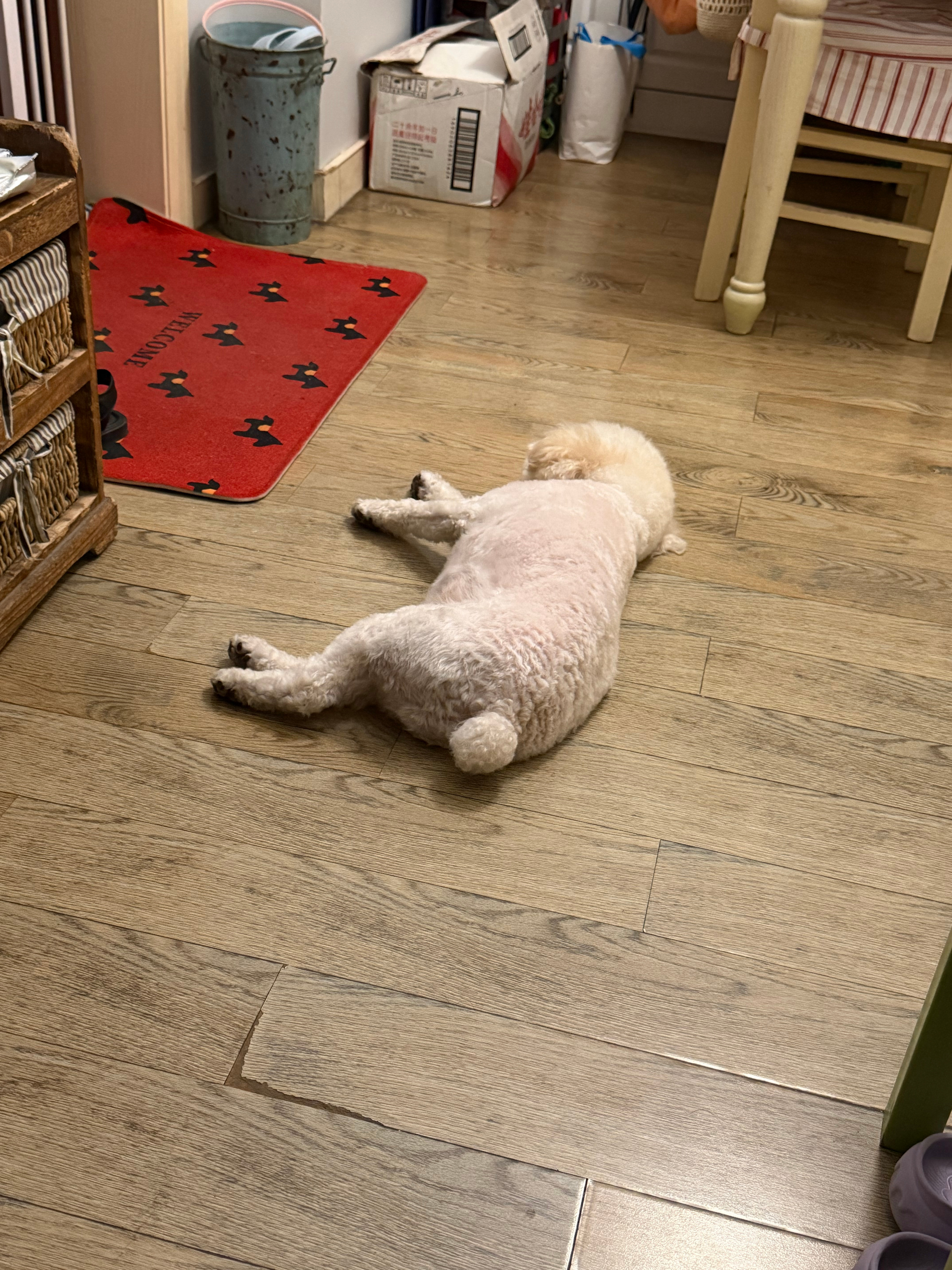 走亲下娃也累了才回家躺 