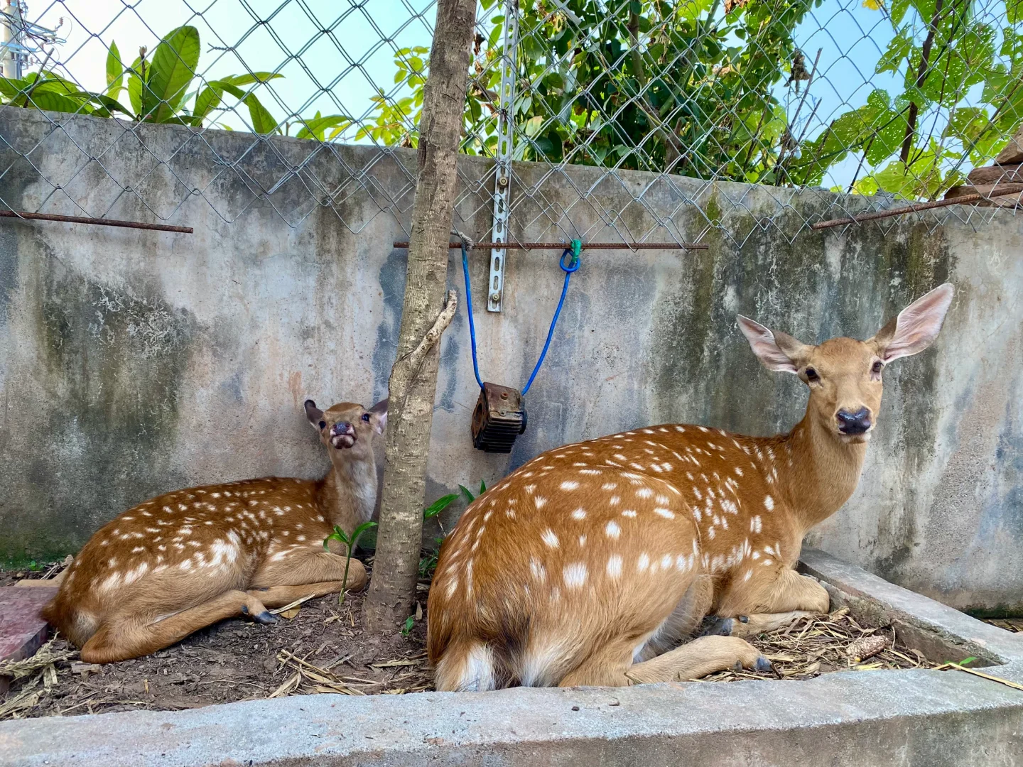 确认过眼神 是母女关系
