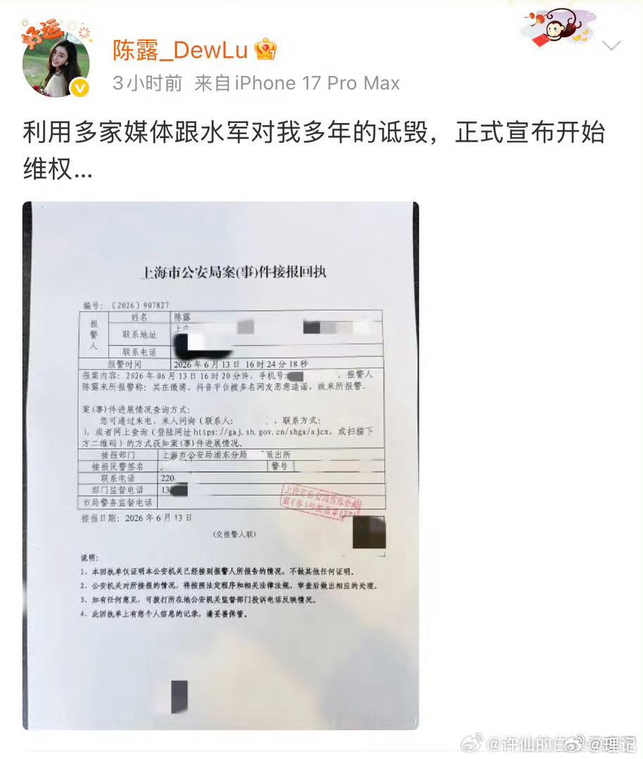 陈露报警说有人利用多家媒体跟水军诋毁她，没提是谁。从谁得利谁就是操作人来看，这只