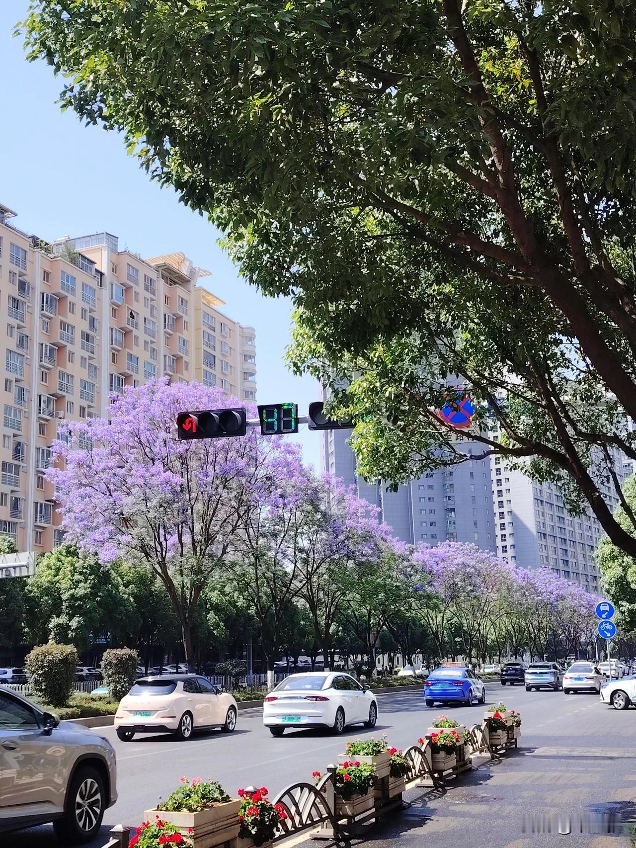 我们全家都怒了，婆婆在坐月子的妹妹碗里动手脚！！

妹妹坐月子，她婆婆把妹妹上一