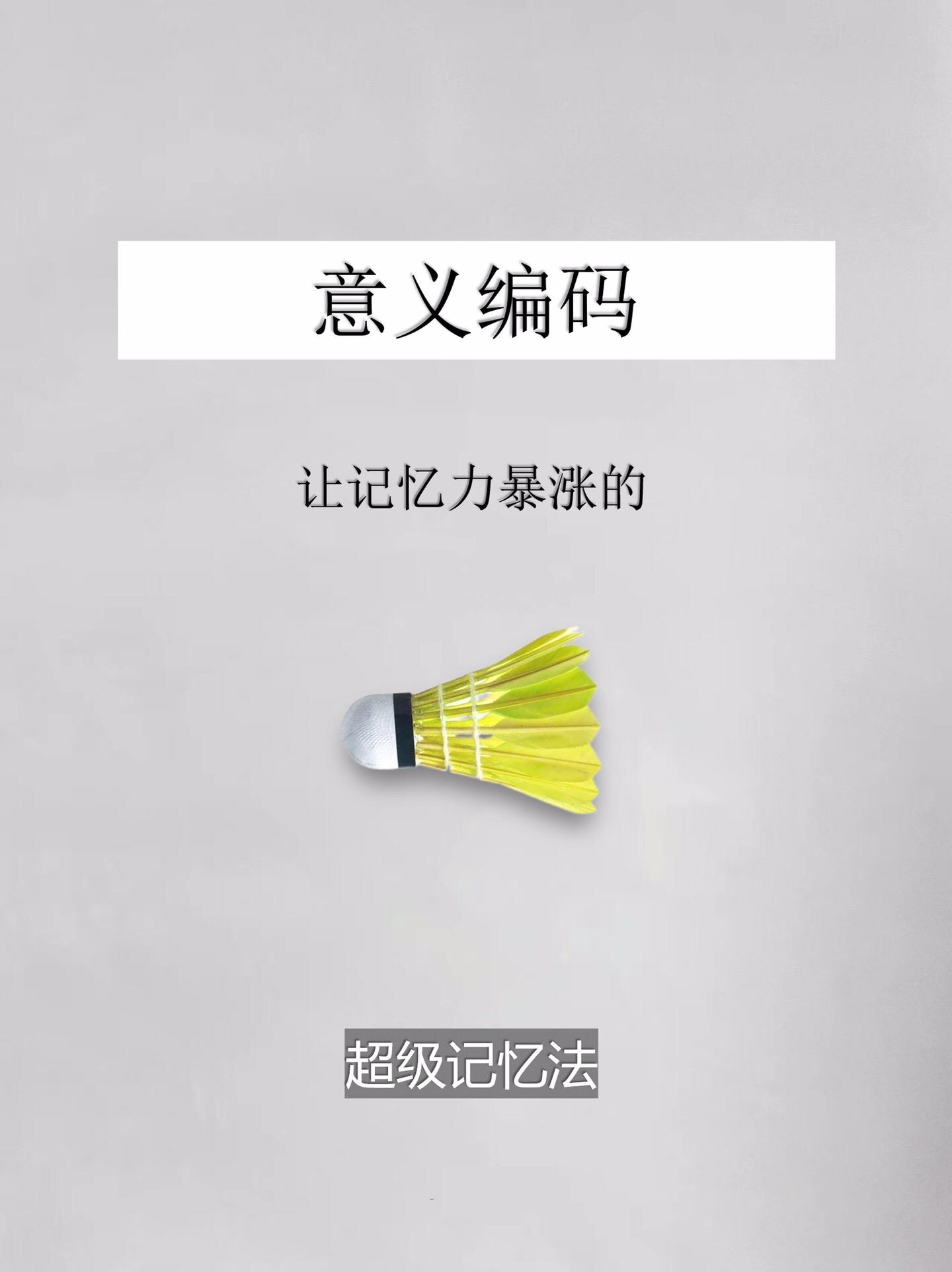 学习方法-意义编码。