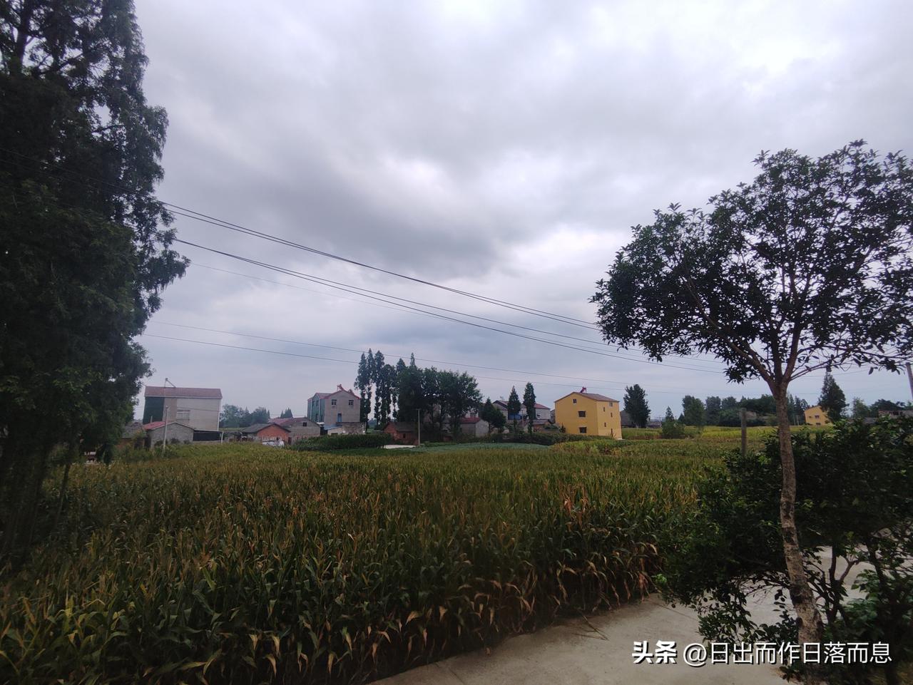 乡村振兴战略合作
美丽乡村
还是老人多
年轻人少啊乡村美景风光照 农家风景随手拍