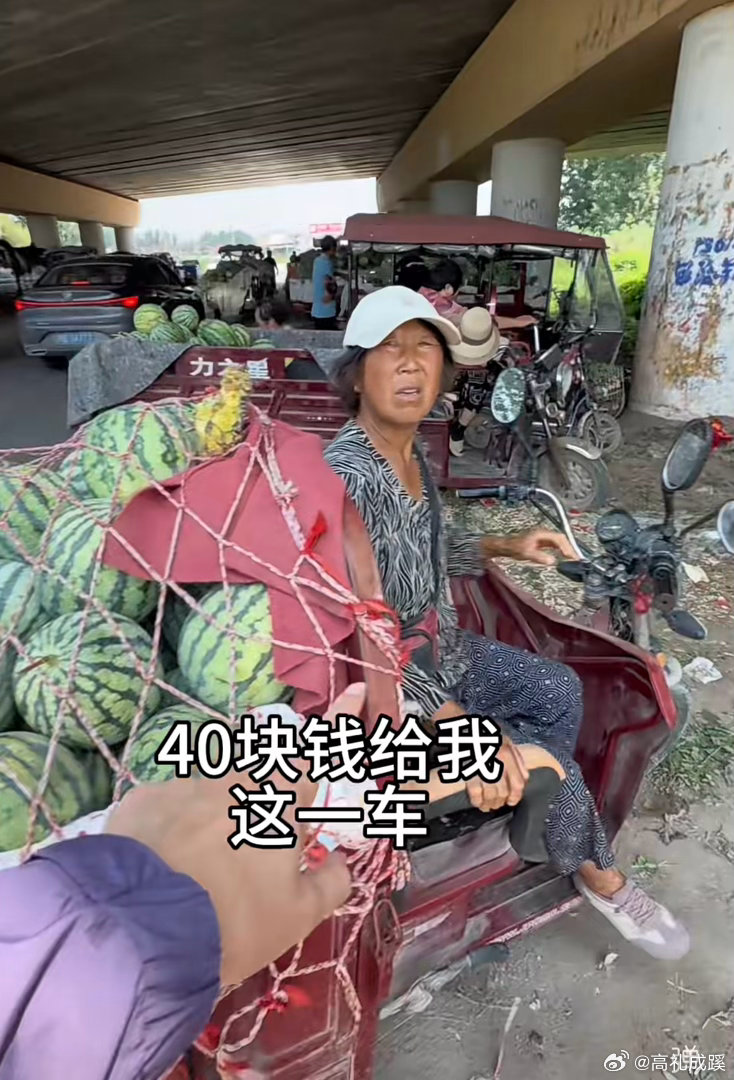 河南开封西瓜大量上市！几分钱一斤的西瓜，可能连肥料钱都不够。但是大家能在市场买到