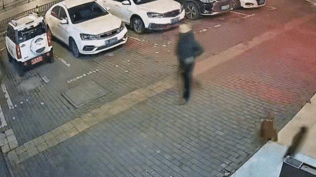 2026年江西新余首例！
遛狗不拴绳致过路人被咬伤，结果行政处罚为罚款200元，