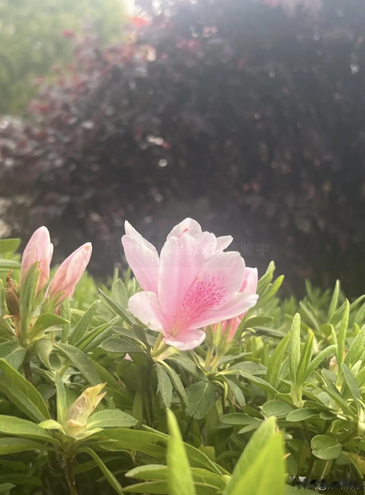 闺蜜进手术室前攥着我的手直念叨：“孕期胖了25斤，等我出来你可得监督我减肥！”结