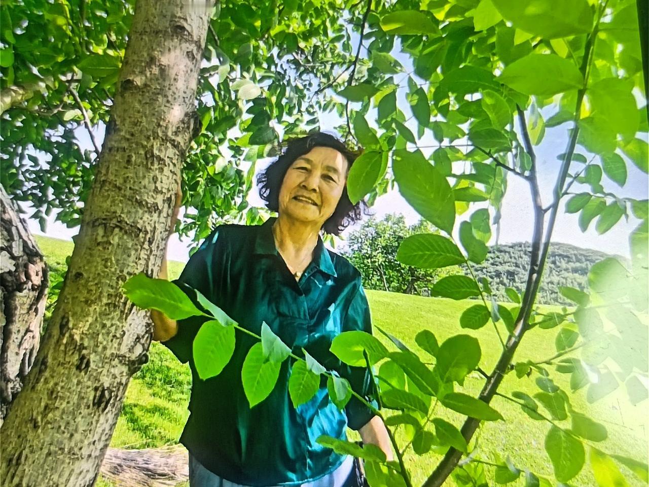 秋日慢时光｜退休后的清闲日子，自在又治愈
 
我今年69岁，在养老院干了16年管