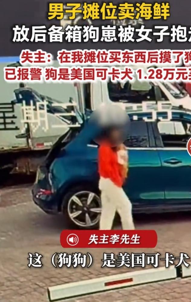 最近河北秦皇岛这事儿太闹心了。摊主李先生花12800元买的美卡犬，就这么被一女子