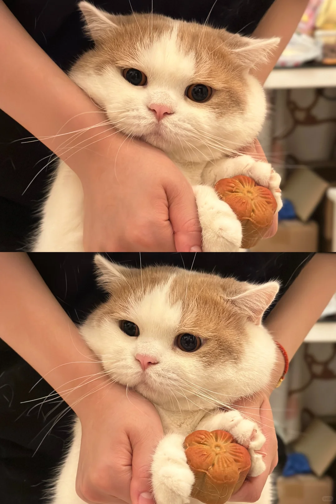 ee们中秋假期快乐🎑