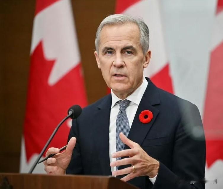 怂！（独立报）加拿大总理马克·卡尼周六表示，他已就一则批评华盛顿关税政策、以美国