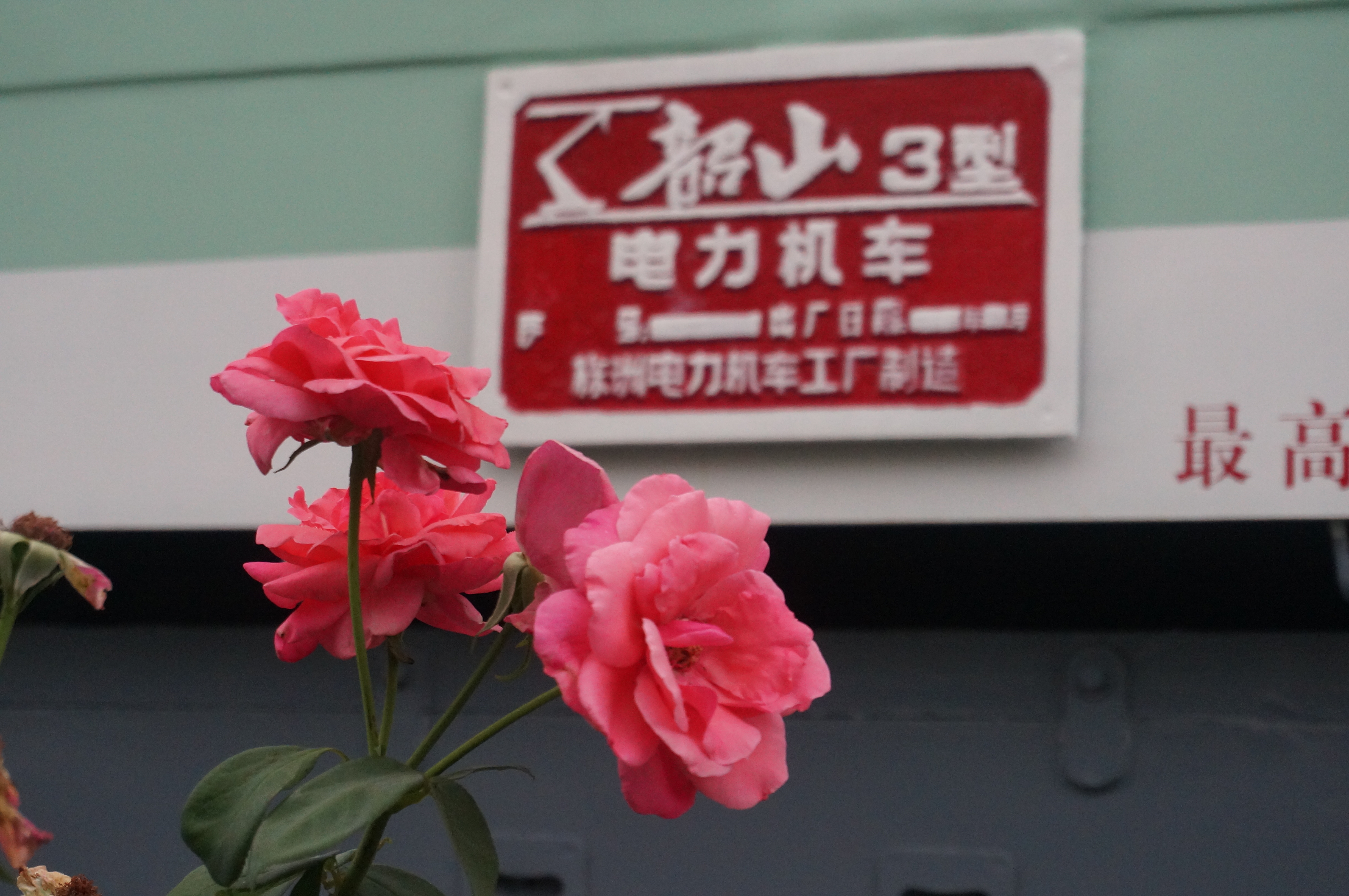 分享图片 ​​​