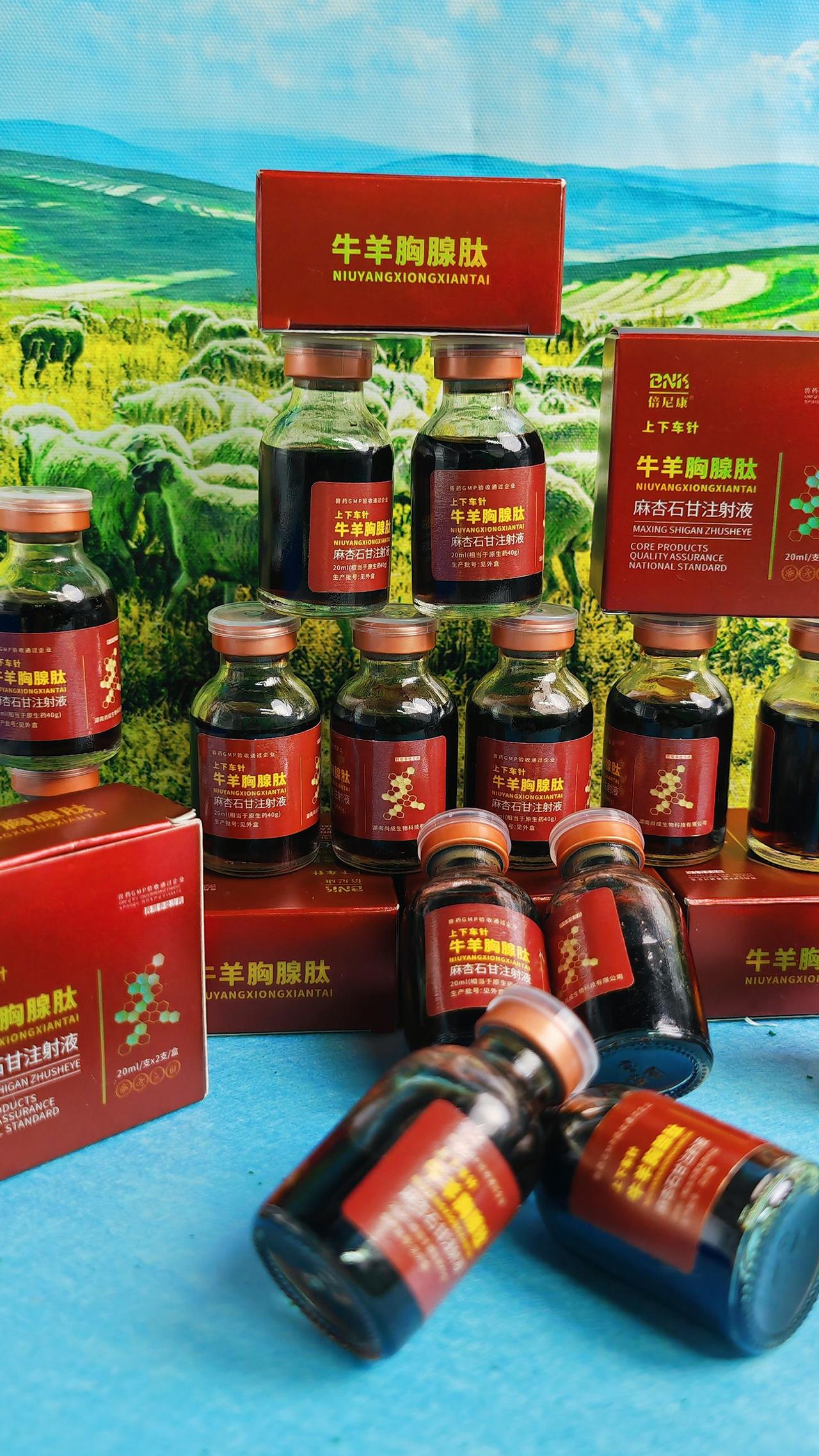 养羊人 农村养羊