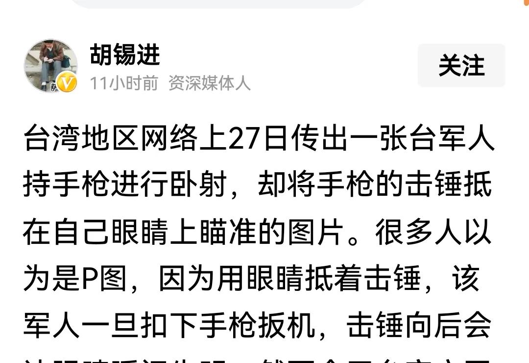 什么孽都敢造，多大的孽都敢造，子孙万代的孽他要一个人造光:  胡锡进说台湾军人，