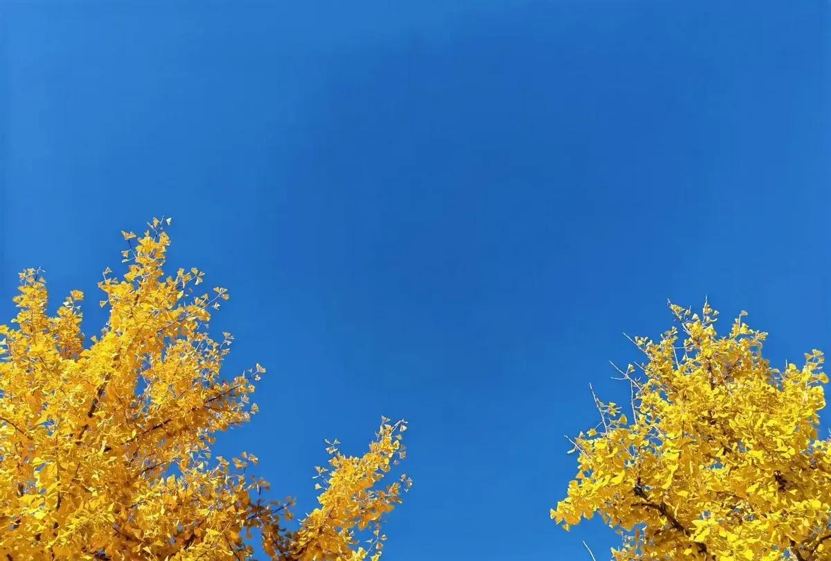 按摩师博主给熟客多按了十分钟，被同事当面怼“坏了规矩”那天大爷热敷中途跑厕所，二