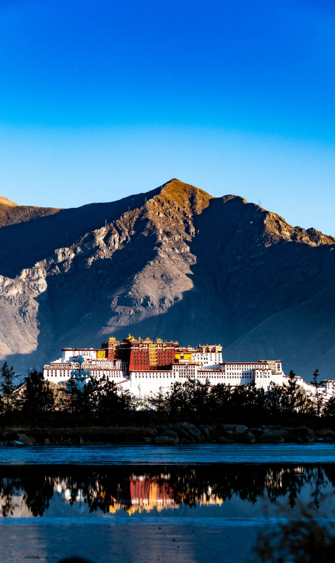 布达拉宫的清晨+松下抖抖乐