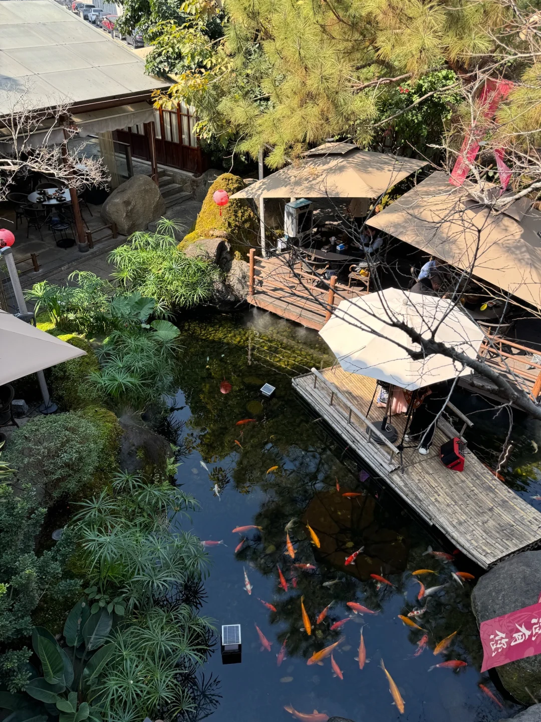 没想到深圳居然有这种地方。。