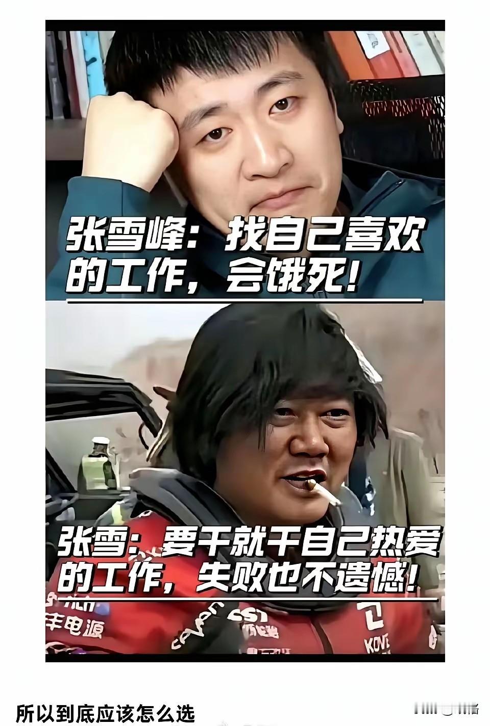 张雪峰代表理性，生存为上，一切为生活为家人一辈子步步为营。
张雪代表感性，人生绝