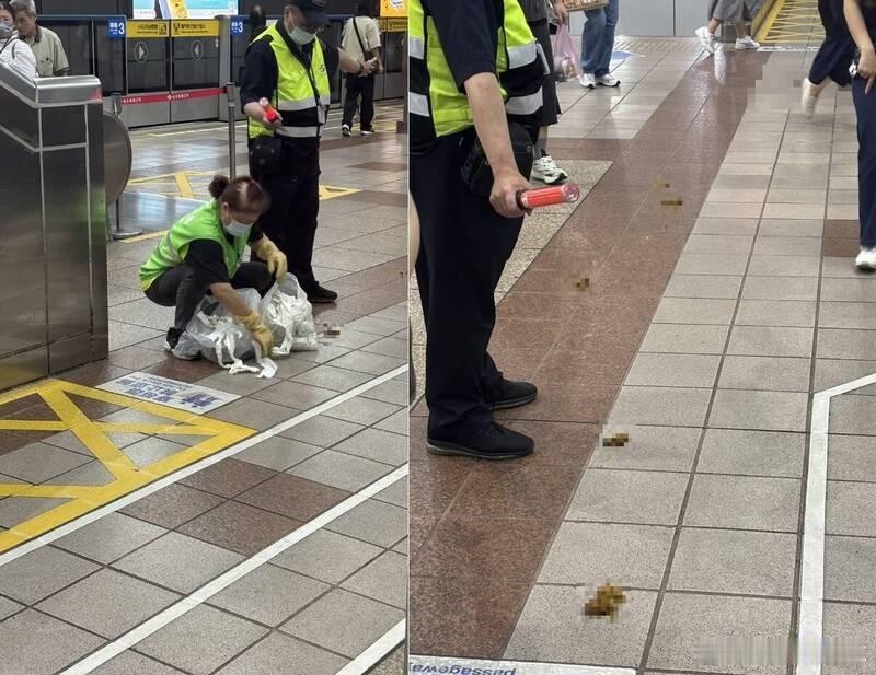 中国台湾省 台北捷运忠孝新生站，一个不注意大便就突然长出来了