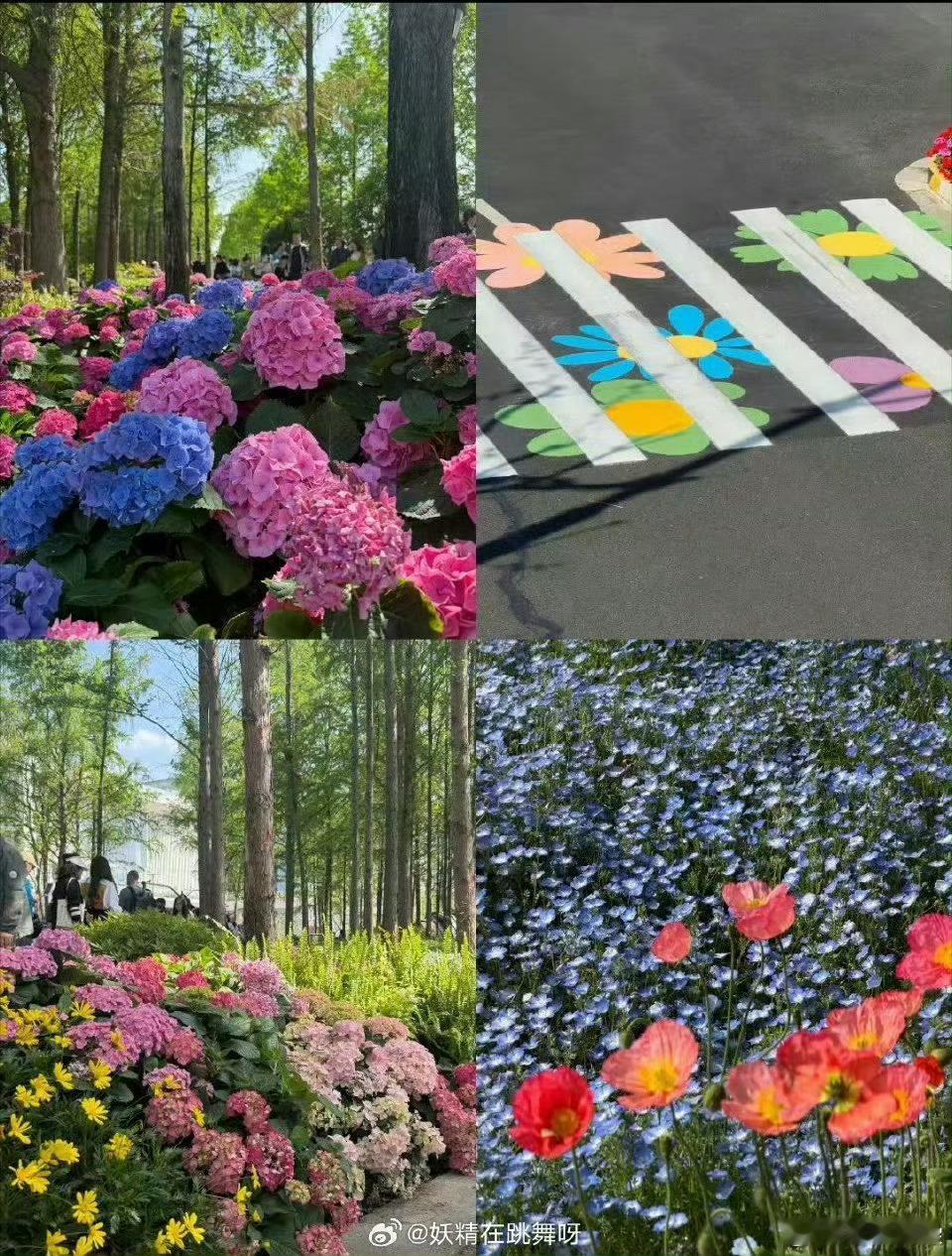 花展最全打卡指南来了京城花展浪漫启幕，千种繁花竞相盛放。错落花境氛围感拉满，步步