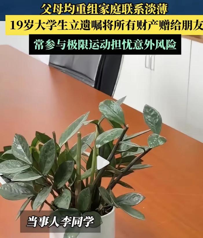 上海，一名19岁大一男生走进中华遗嘱库，决定将名下价值2000万的资产，全部遗赠