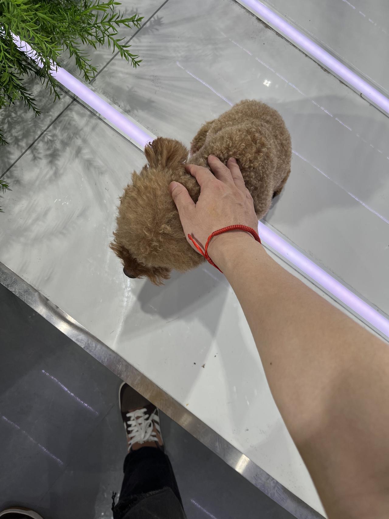 我今天才知道……每天这么多人来看我主页是为了洗稿和偷我的图……你们这些人偷洗就算