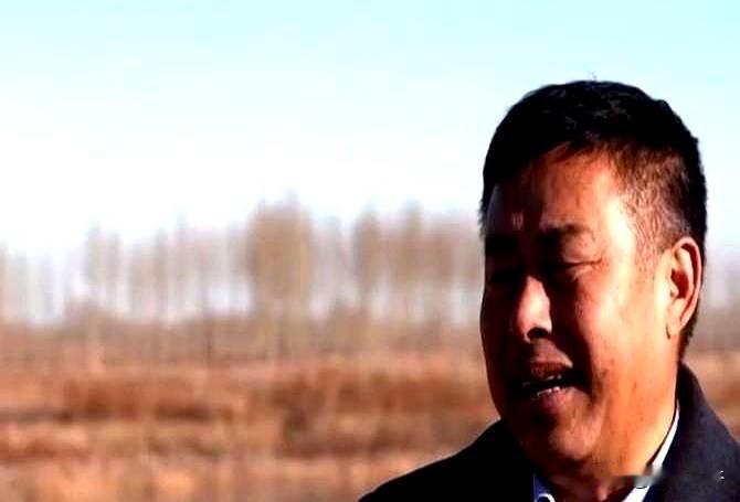 黑龙江一位大爷倾尽全部积蓄买了6000只大鹅，却被大雁引诱带走，一夜之间鹅群全部