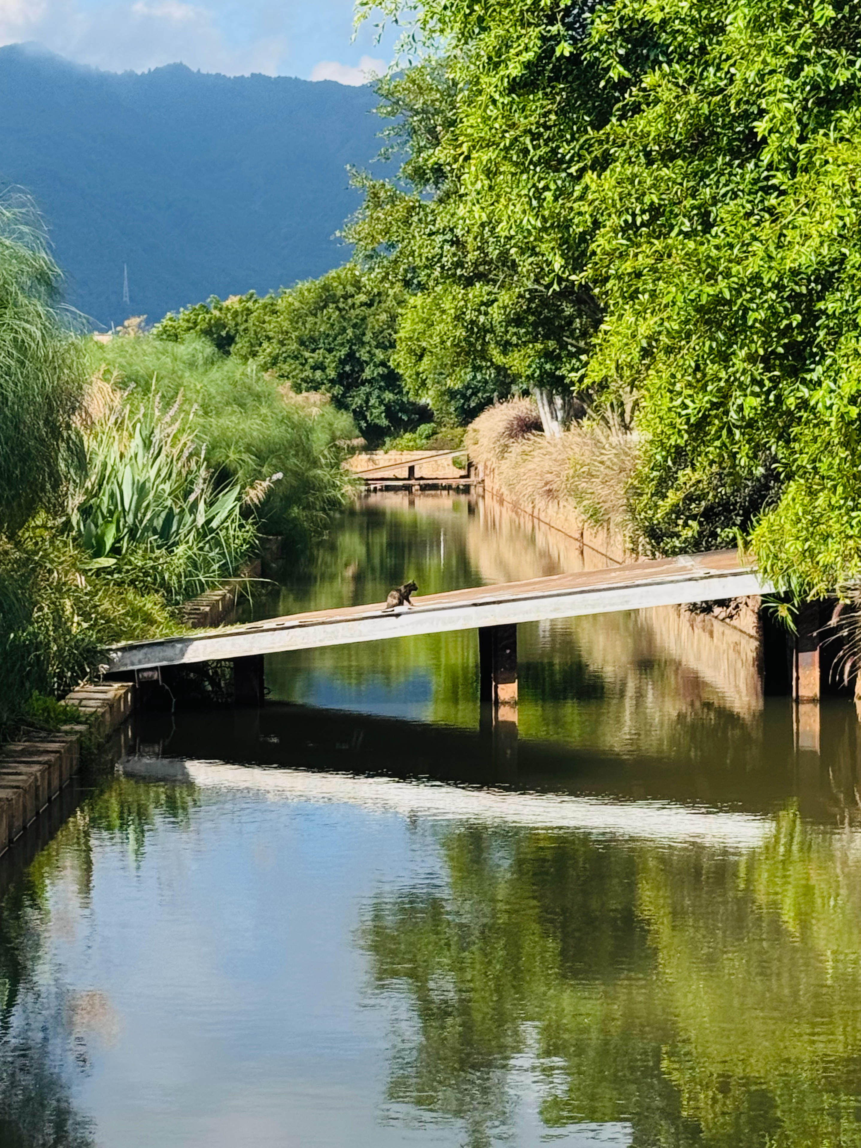 🚗作为旅游博主，听到这个消息真的狠狠期待住了！(≧∀≦)ゞ🎉正在召开的202
