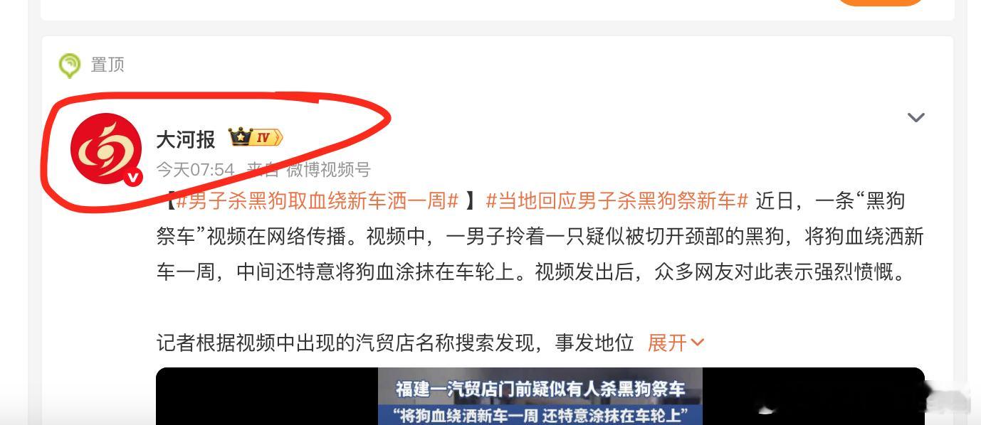 【当地回应男子杀黑狗祭新车】偷井盖儿成性的媒体，现在又想偷中华文化。六畜之一，马