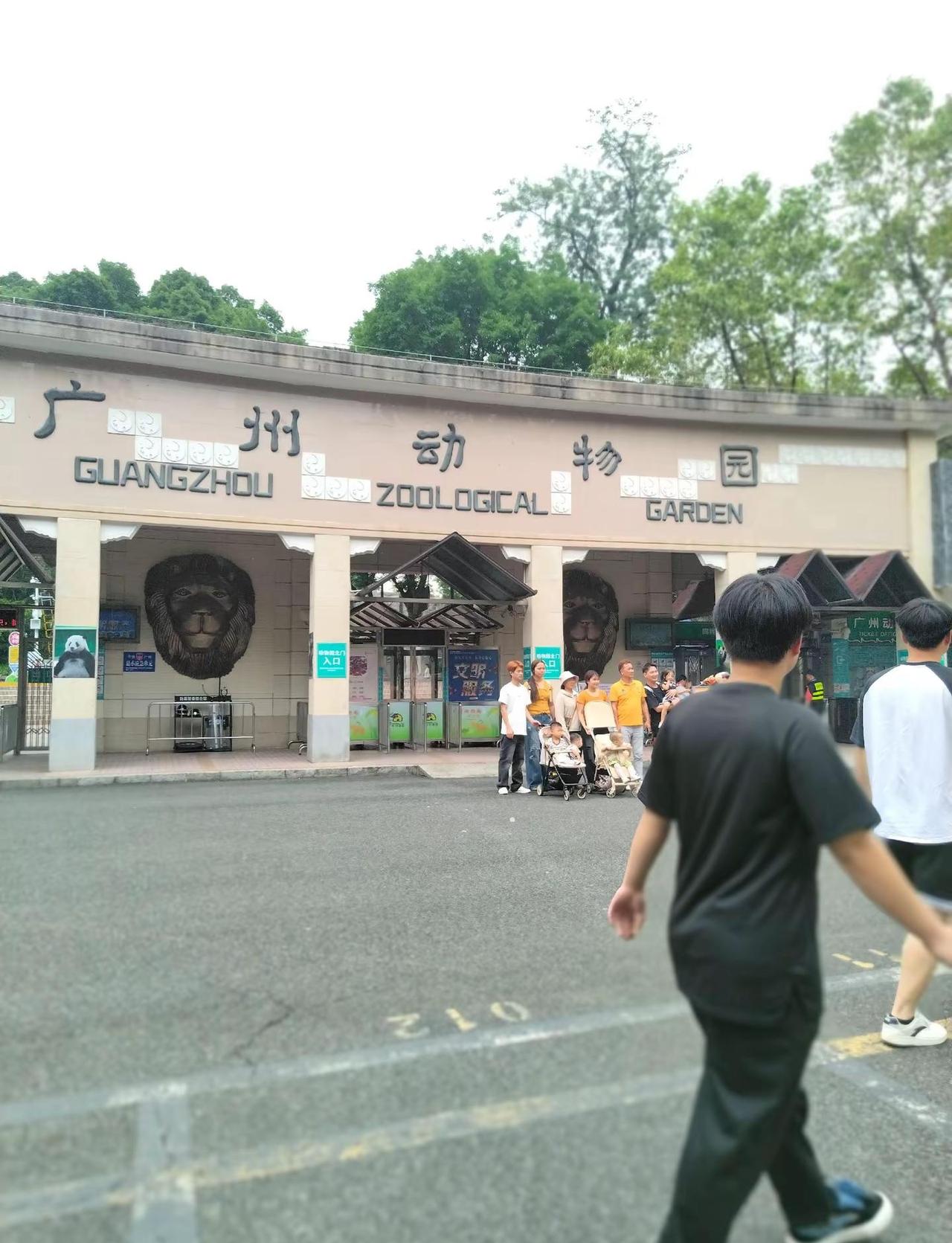 广州之旅 动物园观赏园萌宠乐园