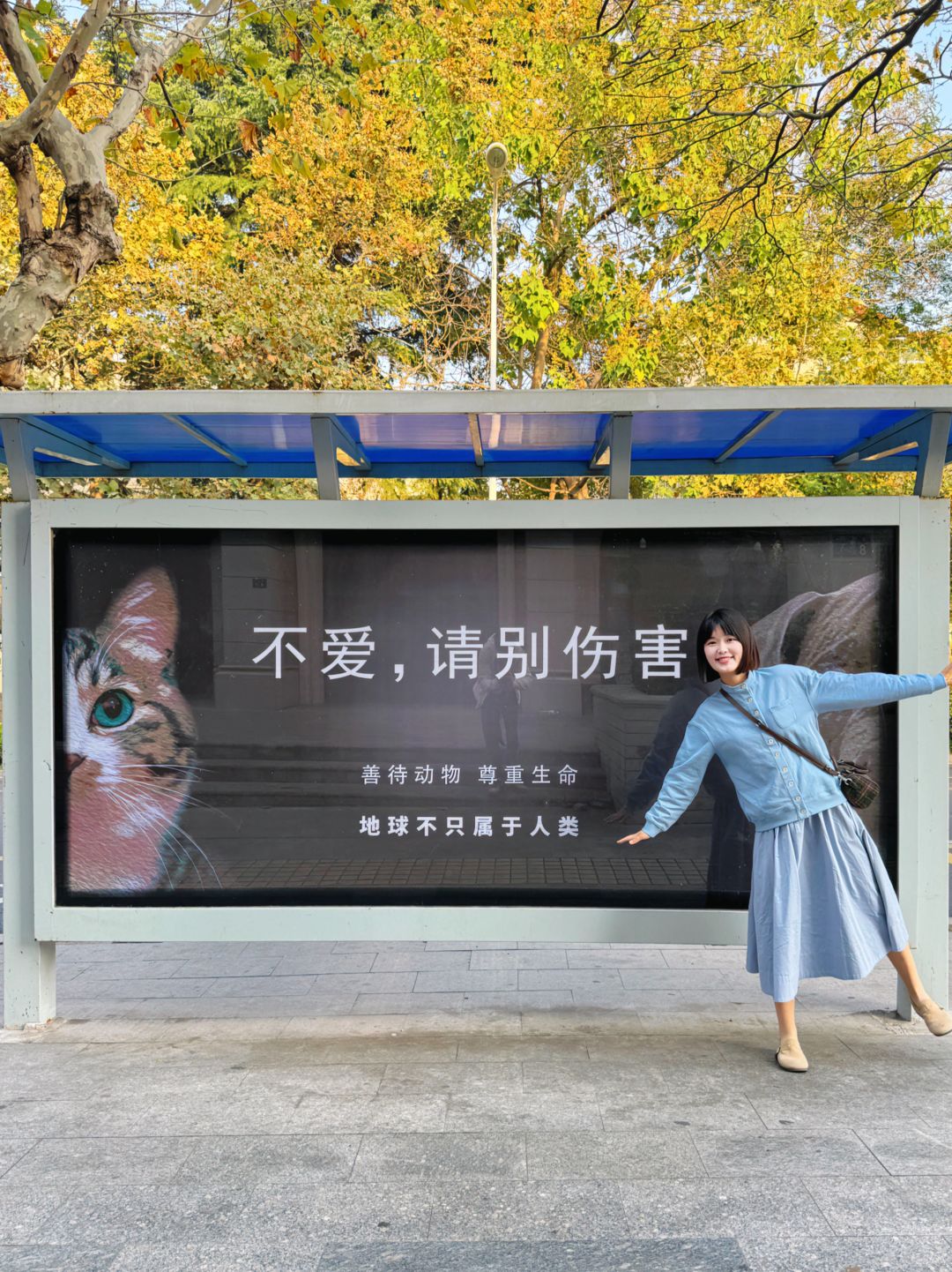 青岛这波上大分‼️当整座城市为小动物发声❤️