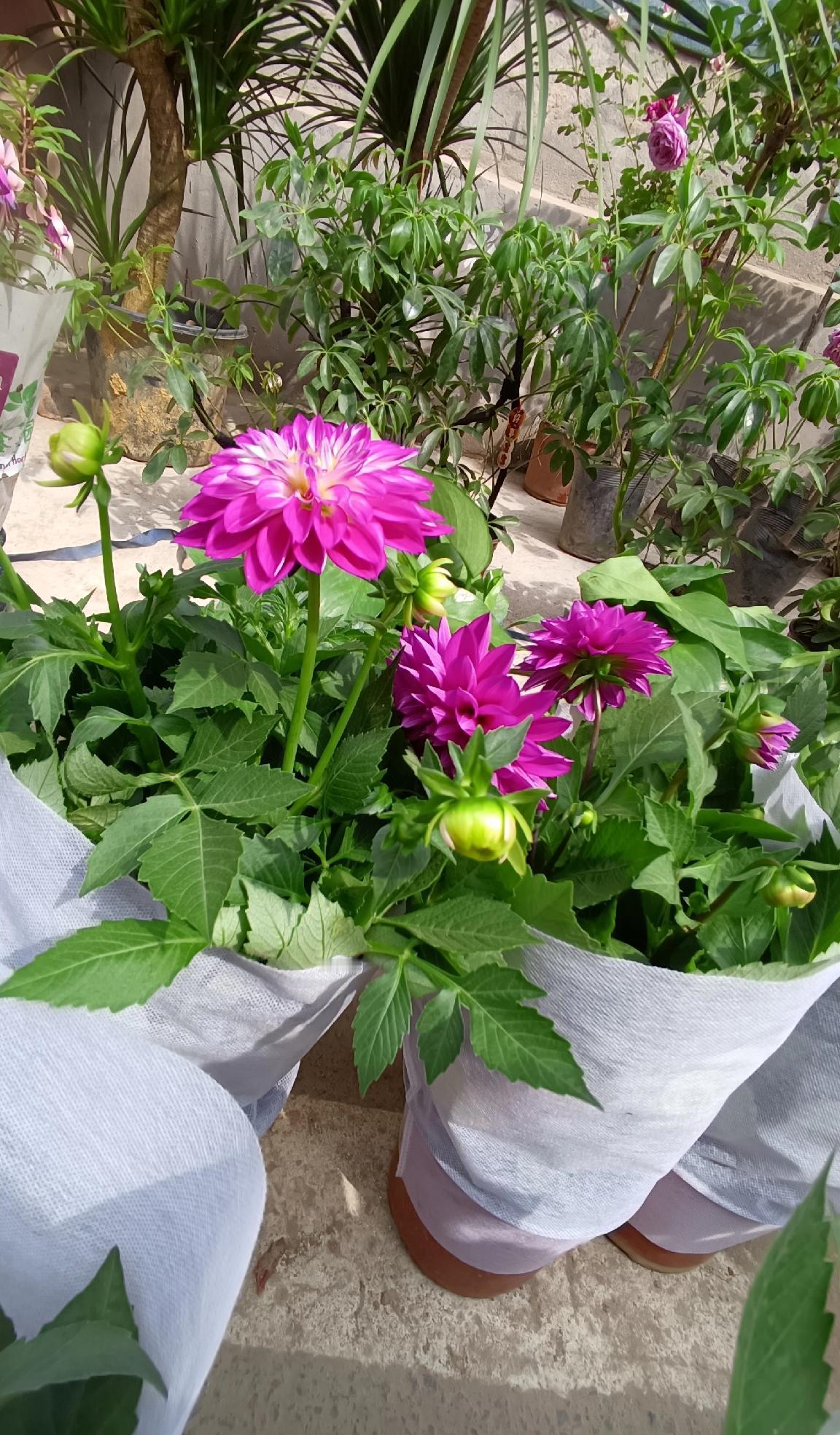 人生感悟·每日一句
 
1. 人生苦短，及时行乐，别让遗憾填满往后时光。
2. 