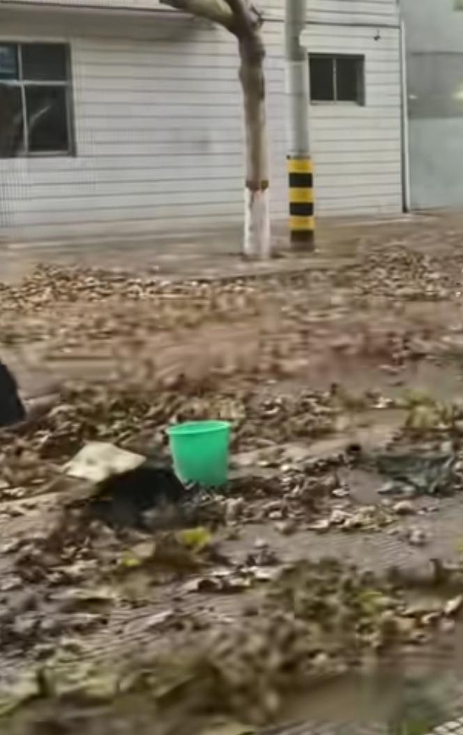 今天下午韩城的风据说有11级，我取消了去快递的打算，关紧门窗躺在床上听风声。早上