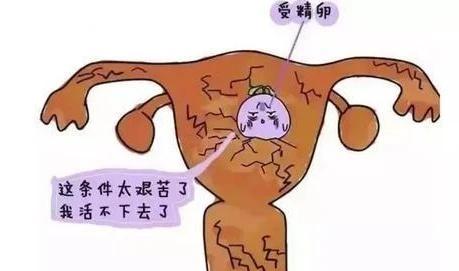 #健康真探社#【为什么会有习惯性流产？】目前，临床上要求对习惯性流产的病因进行综